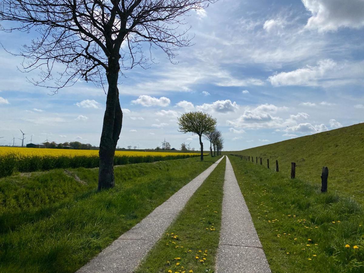 Appartement 1 Mit Kueche Und Neuem Bad, Frisch Saniert Friedrichskoog Kültér fotó
